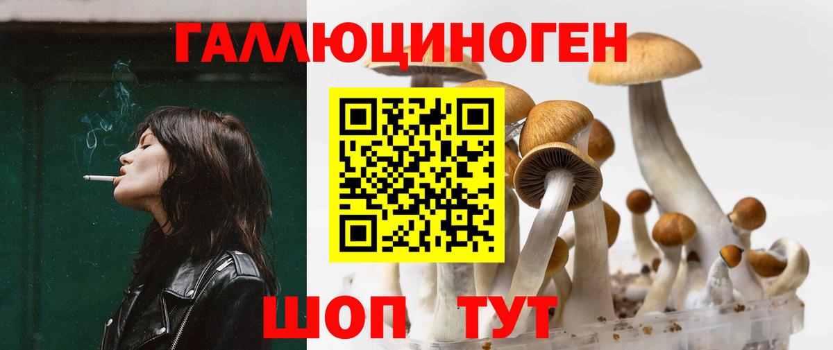 Псилоцибиновые грибы GOLDEN TEACHER Удомля