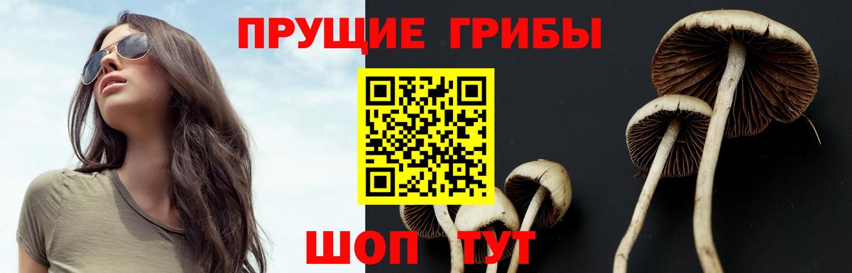 Удомля  Псилоцибиновые грибы Psilocybe  как найти закладки  Вход с VPN 